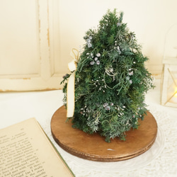 【受注制作】北欧の森　クリスマスツリー2025 クリスマスギフト　針葉樹 7枚目の画像