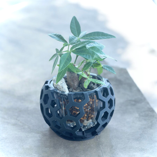 青磁　透花瓶　木箱入れ　送料込み0729 青白磁花瓶（木箱入り）
