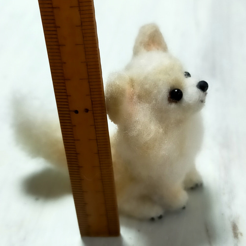 羊毛フェルト チワワ クリーム 手のひらちょこんサイズ 一点物 羊毛