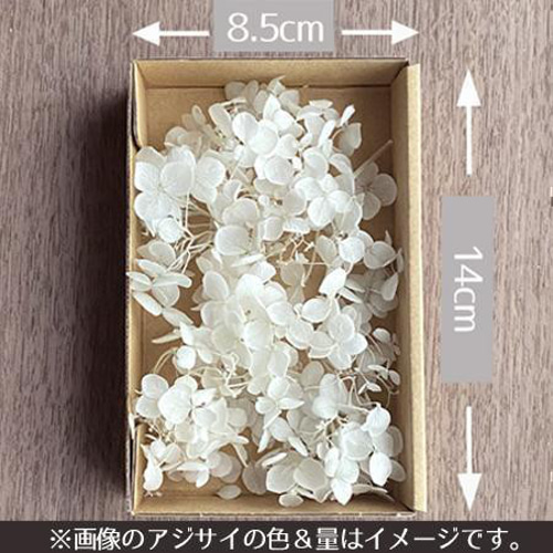 プリザーブドフラワー ゴールド 金色 キラキラ あじさい 紫陽花