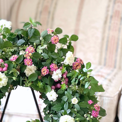 真珠の木とグリーンアイスの寄せ植えリース ☆*:.｡. 幸せのwreath