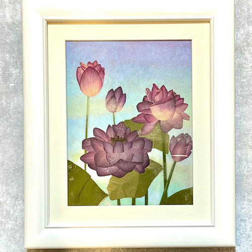 個展出品作 押花 額付き 在庫処分バザール おトク情報がいっぱい！ 額付き 押花 在庫処分バザール 探れる