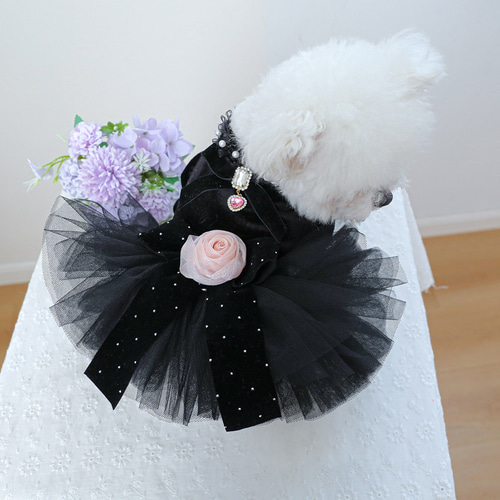 Picone【新品】犬服/黒/チュールドレス&ヘッドアクセサリー Picone【新品】犬服/黒/チュールドレス&ヘッドアクセサリー
