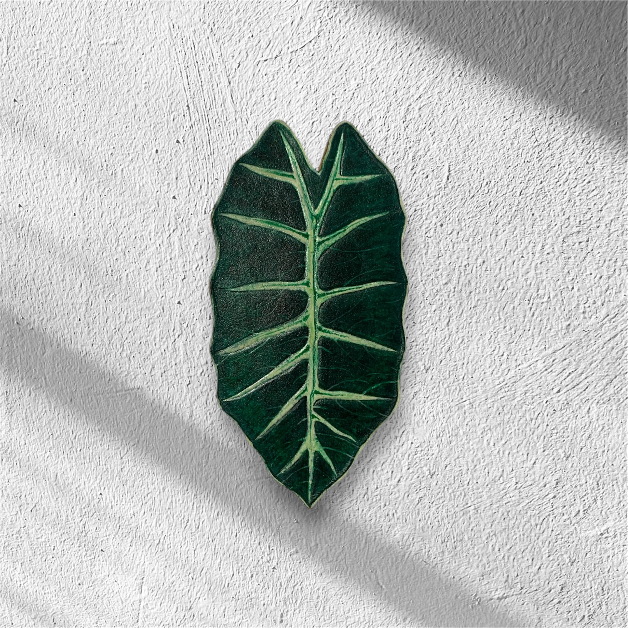 レザーパスケース|アロカシアアマゾニカ| 15,444円