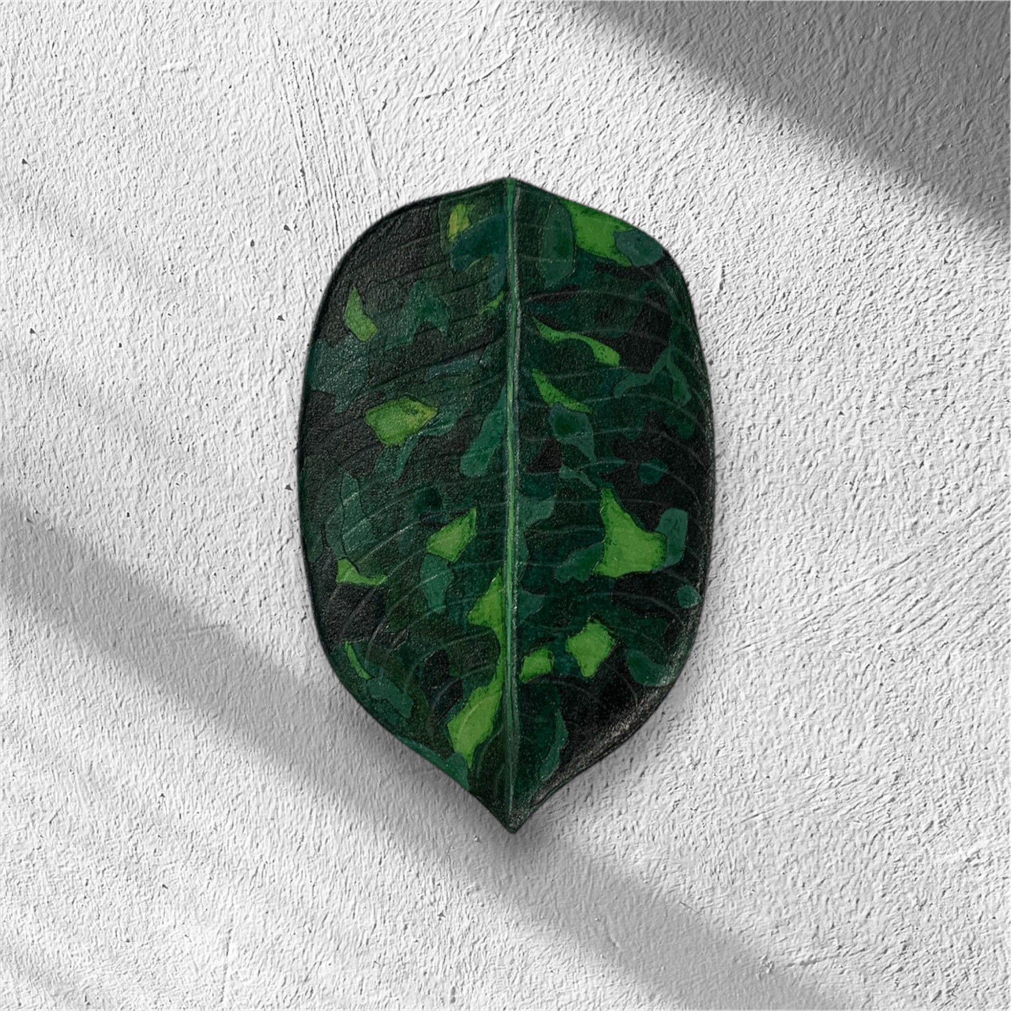 レザーパスケース|アグラオネマピクタムトリカラー|