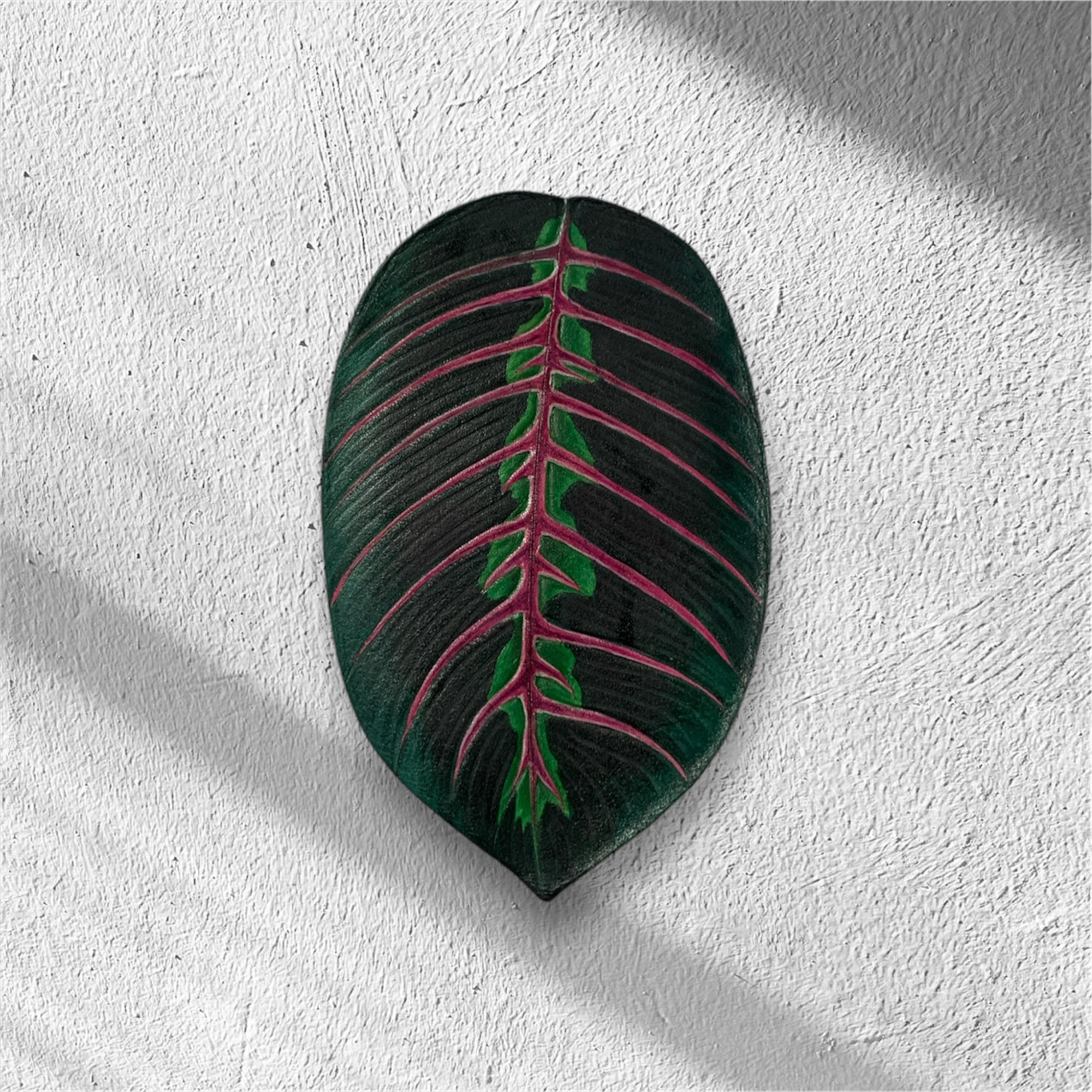 レザーパスケース|マランタレウコネウラ|