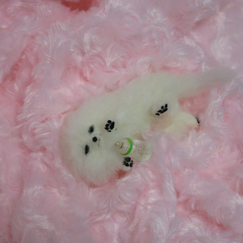 最大の割引 ポメラニアン 犬 羊毛フェルト 白 置物 子犬 赤ちゃん ホワイト 羊毛フェルト