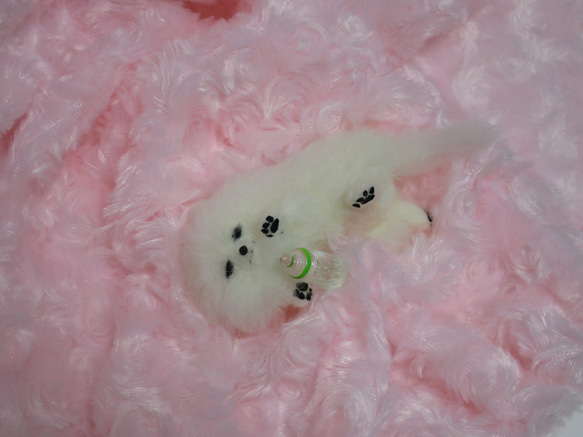 羊毛フェルト 犬 ポメラニアン 白 ホワイト 赤ちゃん 子犬 置物 羊毛