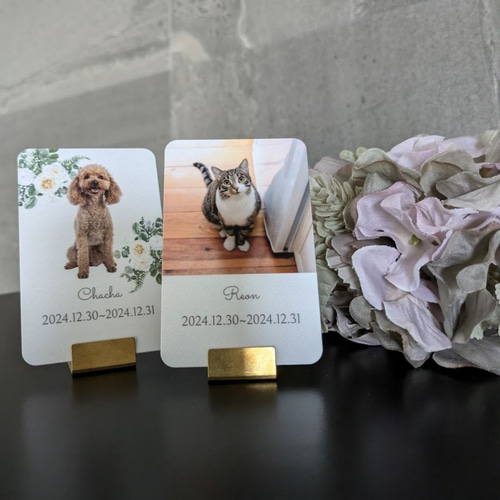 遺影【うちの子】ペット遺影｜ 位牌｜メモリアルグッズ｜オーダー