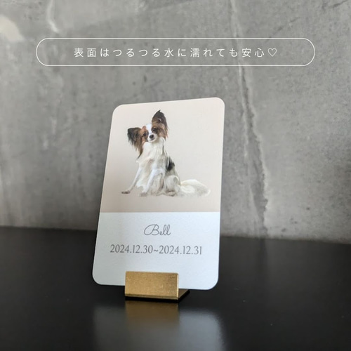 遺影【うちの子】ペット遺影｜ 位牌｜メモリアルグッズ