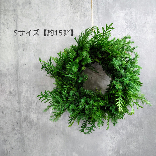 new!! ニオイヒバと薩摩杉のシンプルフレッシュリース【生花】S/M/L