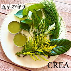 ≪ 薬用万能 無農薬 よもぎ ビワ クリーム 40ml ≫ その他雑貨