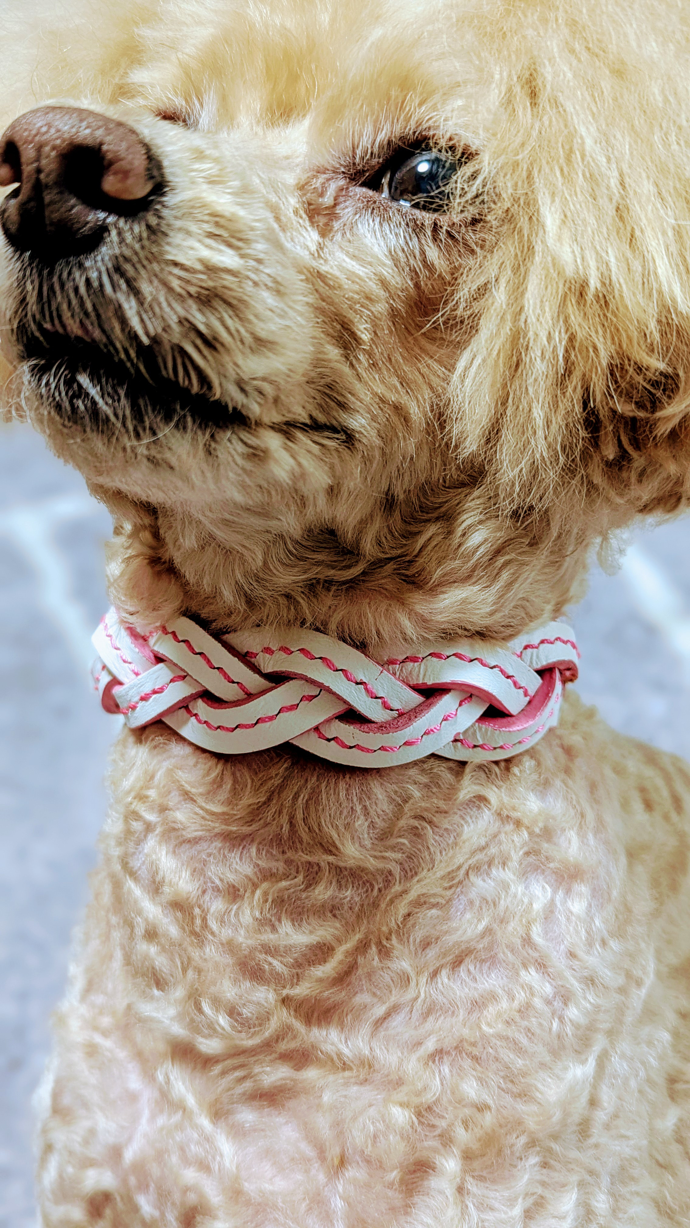 本革マジック編み首輪