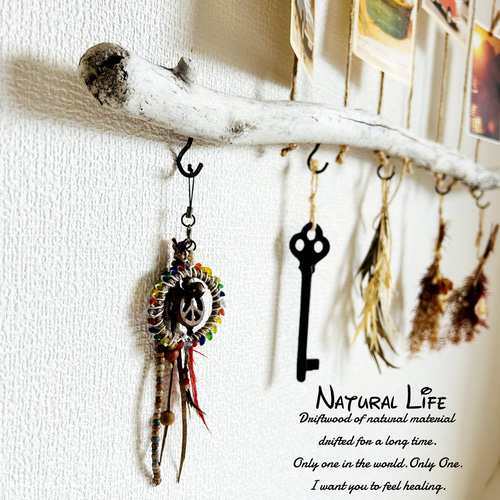 流木&シーグラス⁎✧✧ 写真ディスプレイ✧フォトフレーム✧壁掛け