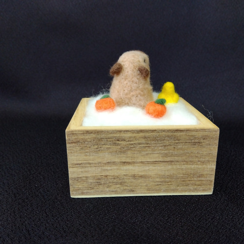羊毛フェルト パピヨン 日光浴 蛙 温泉 蜜蜂 専用 羊毛フェルト パピヨン 日光浴 蛙 温泉 蜜蜂 専用（かわいい感性