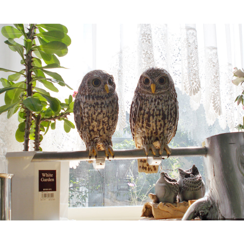 バードカービング（コキンメフクロウ）『 福来郎 ペア 』実物大 その他