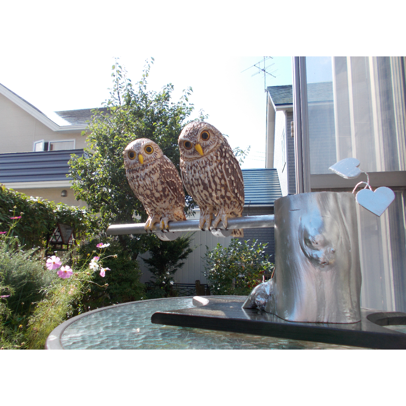 バードカービング（コキンメフクロウ）『　福来郎　ペア　』実物大