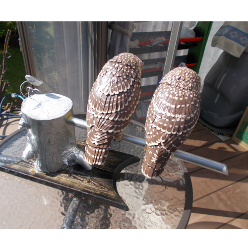 バードカービング（コキンメフクロウ）『 福来郎 ペア 』実物大 その他