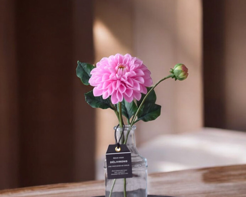 alis.ribbon.teacup | 春がこっそりと尋ねて来た🥰 #お花のある