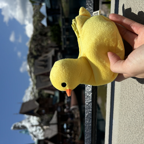 黄色アヒルポーチ Yellow Duckling Pouch ポーチ beenbean 通販