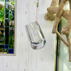 ダブルヘッド ユッカ ロストラータ アンティークテラコッタ その他