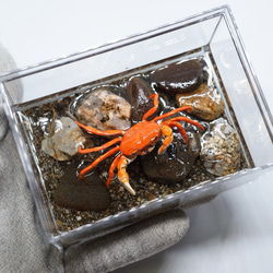 59ab8fcc39f0a3cb3557206bb739b2