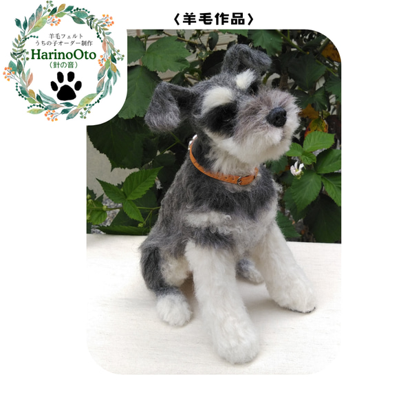ஐ羊毛フェルト ੯•`໒ ミニチュアシュナウザー ミニチュア