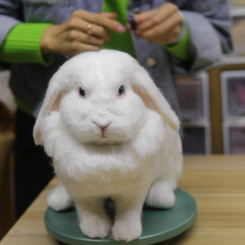 オーダーメイド ペット】羊毛 フェルト オーダー ぬいぐるみ ハスキー