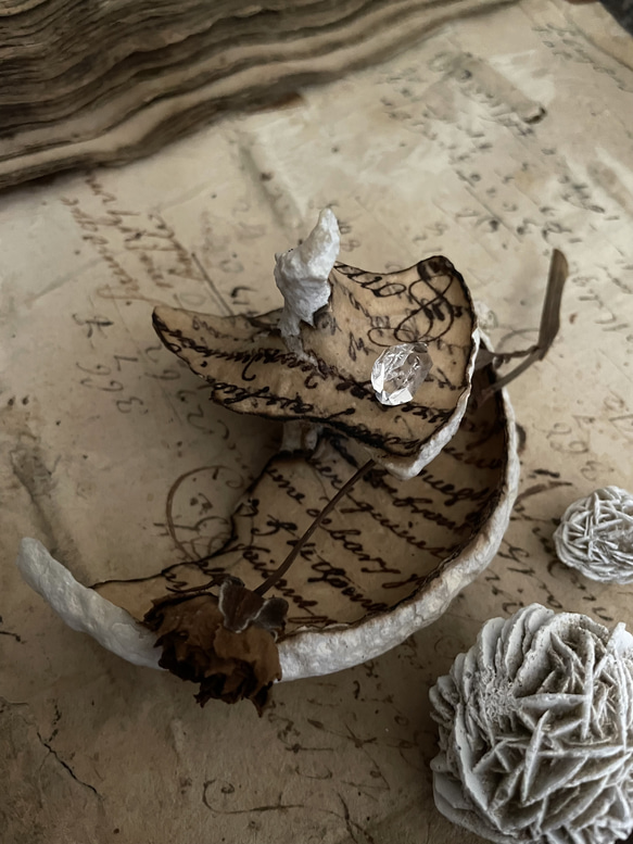 貝殻の記憶 貝殻の記憶 6 その他インテリア雑貨 ミセトゾア 通販 18403662｜Creema