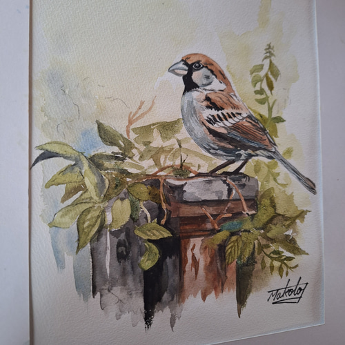 水彩画 スズメ 絵画 makochin 通販 18404004｜Creema(クリーマ)