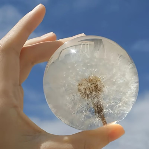 たんぽぽ 癒し 願い タンポポ クリスタルボール 水晶球 クリスタル