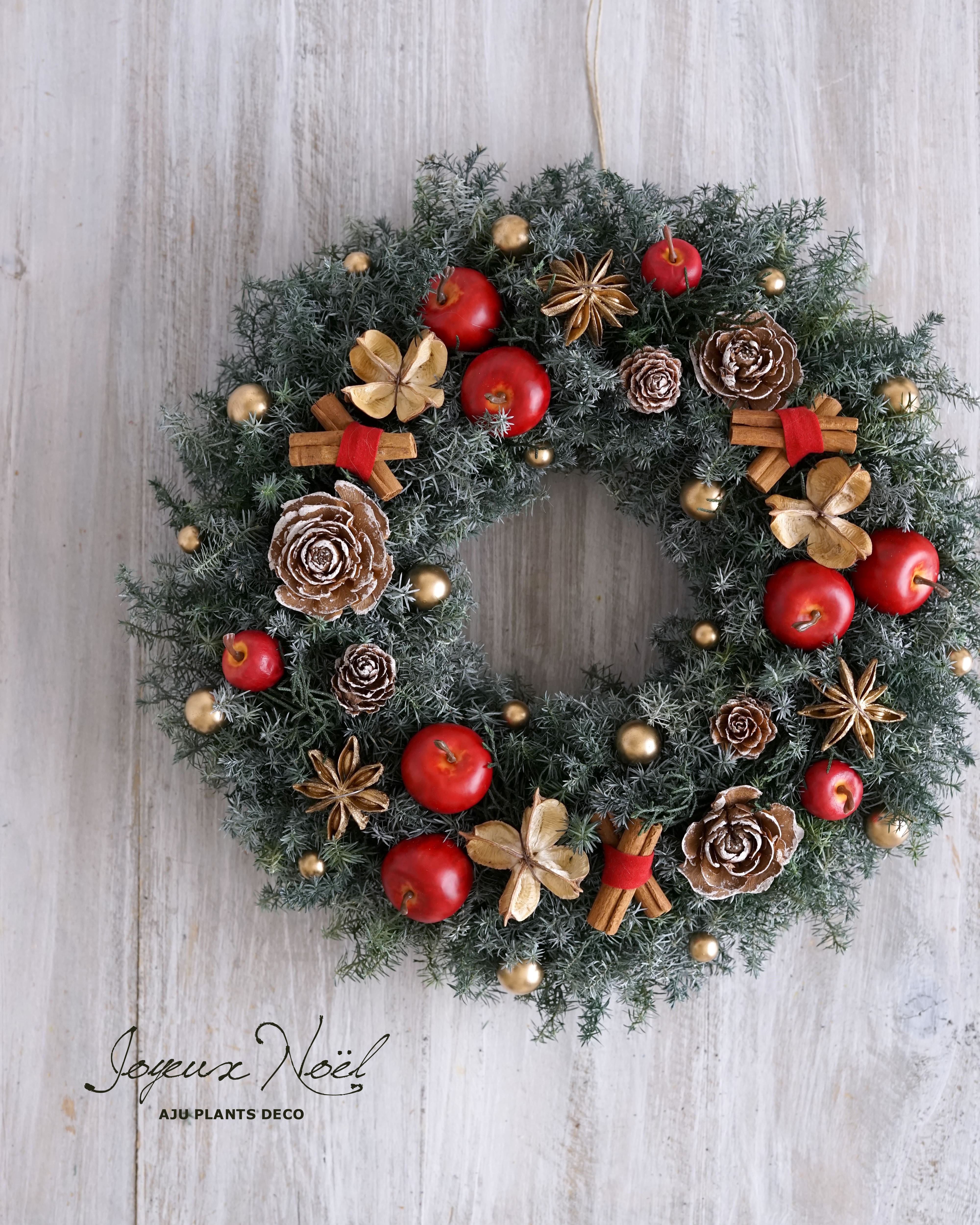 クリスマス・リース（4）～ Joyeux Noël ～ 29cm（プリザ） アート