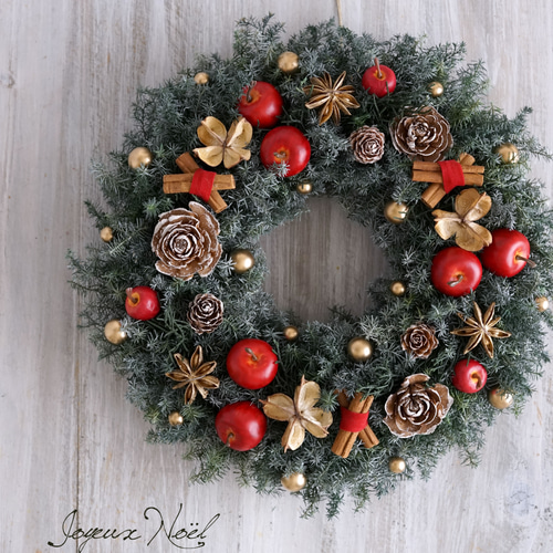 クリスマス・リース（15）～ Joyeux Noël ～ 29cm（プリザ） アート 