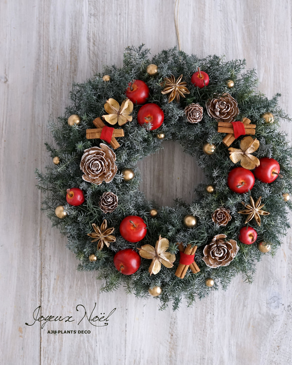 クリスマス・リース（4）～ Joyeux Noël ～ 29cm（プリザ） アート