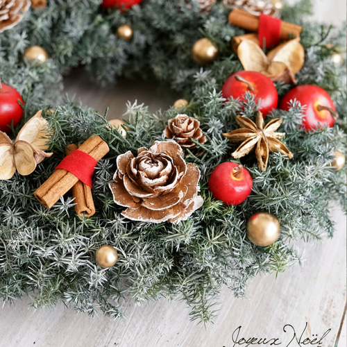 クリスマス・リース（4）～ Joyeux Noël ～ 29cm（プリザ） アート