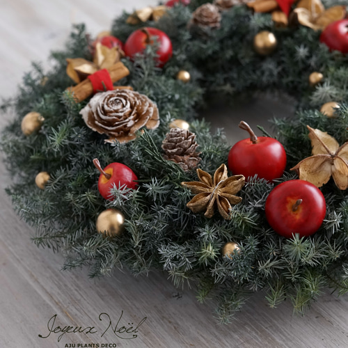 クリスマス・リース（4）～ Joyeux Noël ～ 29cm（プリザ） アート