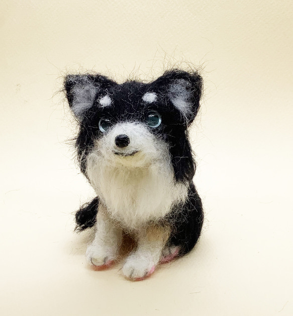 羊毛フェルト＊チワワ＊犬＊かわいい 羊毛フェルト moco3871