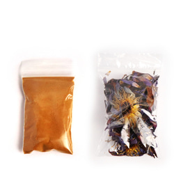 Voacanga africana 種子 西アフリカ原産 希少 熱帯植物