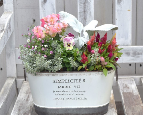 218b71f37822551de1008c2c6b8894