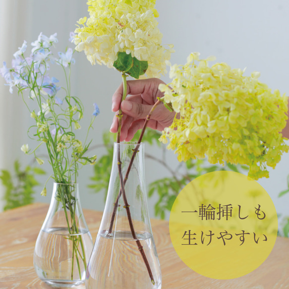 日本の夏2025『しずく花瓶 (Lサイズ)』お花一本でも綺麗に飾れる☆ 5枚目の画像