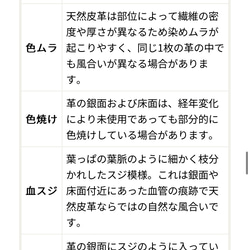 ＼新作／育てるレザーのころんと2WAYワンハンドルバッグ【姫路レザー本革】 18枚目の画像