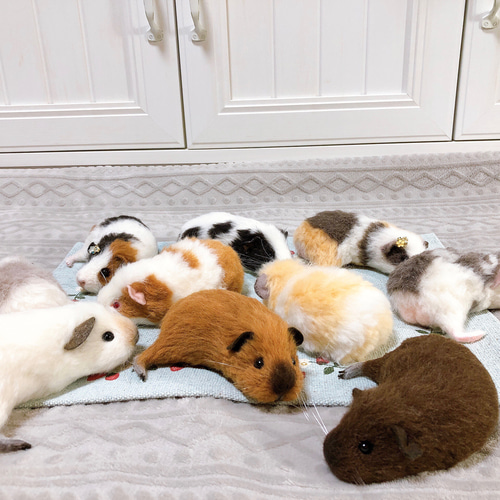 寝転ぶモルモット *モルワッサン* 羊毛フェルト 羊毛フェルト