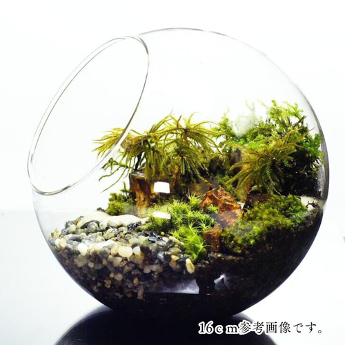 天然石3点セットB 一点物 原石 さざれ石・苔テラリウム・盆栽・和風インテリア用 天然石3点セットB 一点物 原石 さざれ石・苔テラリウム・盆栽・和風