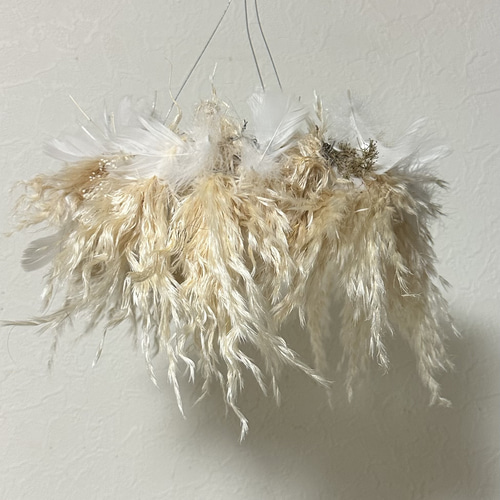 ivorynoon パンパス ドライフラワー フライングリース 天使の羽 天使の