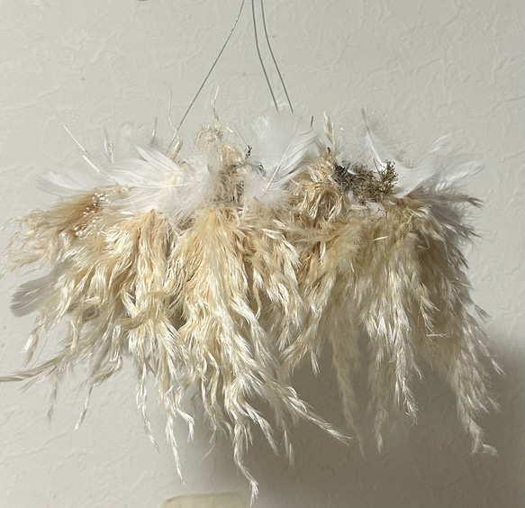 ivorynoon パンパス ドライフラワー フライングリース 天使の羽 天使の