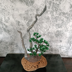 ワイヤー盆栽 立体・オブジェ ワイヤーアート工房kensogor 通販