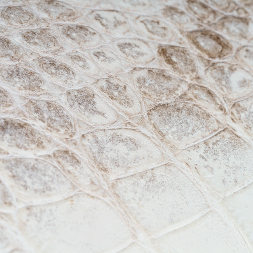 ヒマラヤ クロコダイル 長財布 高級 高品質 ブランド エキゾチック  