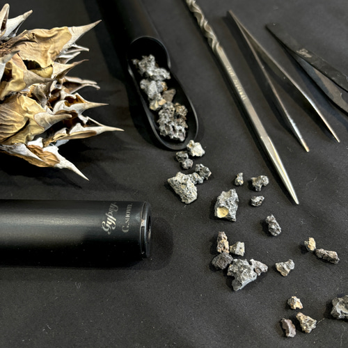 Gypsy】育てるスコップ アガベ ユーフォルビア パキポディウム