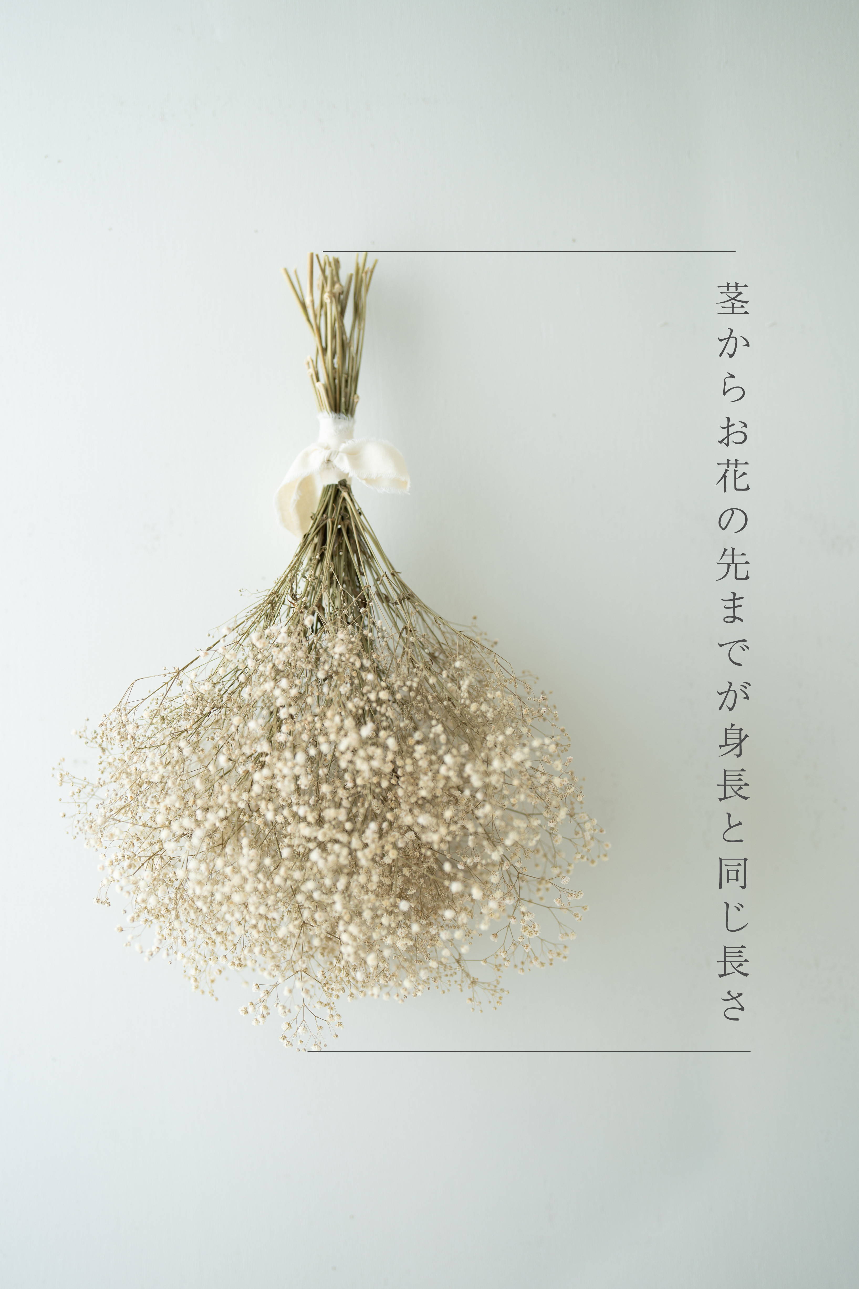 【ニューボーンブーケ】出産祝い　ニューボーン　カスミソウ　ハーブティー　ギフト