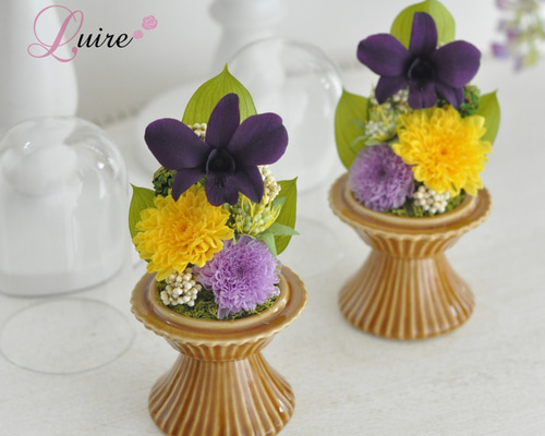 983d2038545544dc514cad4d0c175a